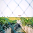 大房郢公园 - 合肥市旅游 缩略图 8