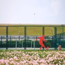 大房郢公园 - 合肥市旅游 缩略图 7