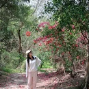 深圳北站-中心公园 - 深圳市旅游 缩略图 2