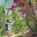 深圳北站-中心公园 - 深圳市旅游 缩略图 1