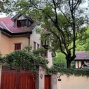 武康路历史文化名街 - 上海市旅游 缩略图 5