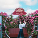 海宁国际花卉城 - 嘉兴市旅游 缩略图 4