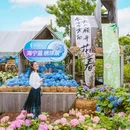 海宁国际花卉城 - 嘉兴市旅游 缩略图 8