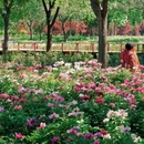 凉水河公园 - 北京市旅游 缩略图 3