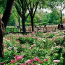 凉水河公园 - 北京市旅游 缩略图 9