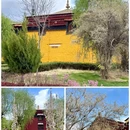 桑耶寺 - 山南市旅游 缩略图 7