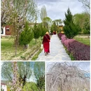 桑耶寺 - 山南市旅游 缩略图 6