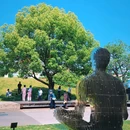 合柴·1972 - 合肥市旅游 缩略图 3