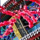 开元古寺 - 邢台市旅游 缩略图 5