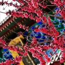 开元古寺 - 邢台市旅游 缩略图 7