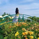 南京莫奈花园(Monet Garden) - 南京市旅游 缩略图 5