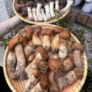 菁蓉汇 - 成都旅游 缩略图 4