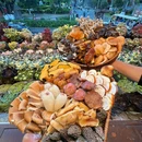 菌二哥·野生菌火锅·围炉烤肉·白族石板烧(大理古城总店) - 大理白族自治州旅游 缩略图 1