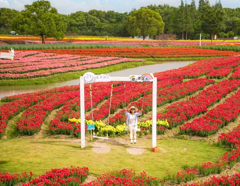 花开海上生态园 - 上海市旅游 1