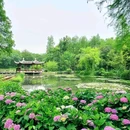 中国科学院武汉植物园 - 武汉市旅游 缩略图 3