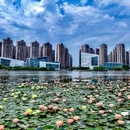 荷香湖公园 - 佛山市旅游 缩略图 4