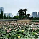 荷香湖公园 - 佛山市旅游 缩略图 5