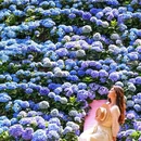 世界花卉大观园 - 北京市旅游 缩略图 3