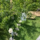 大理恬园居民宿 - 大理白族自治州旅游 缩略图 2