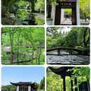 杭州西湖 - 杭州市旅游 缩略图 1