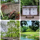 杭州西湖 - 杭州市旅游 缩略图 4