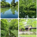 杭州西湖 - 杭州市旅游 缩略图 5