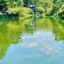 杭州西湖 - 杭州市旅游 缩略图 8