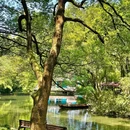 杭州西湖 - 杭州市旅游 缩略图 7