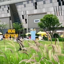 太子湾滨海岸线公园 - 深圳市旅游 缩略图 3
