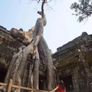 柬埔寨 - 海外旅游 缩略图 6