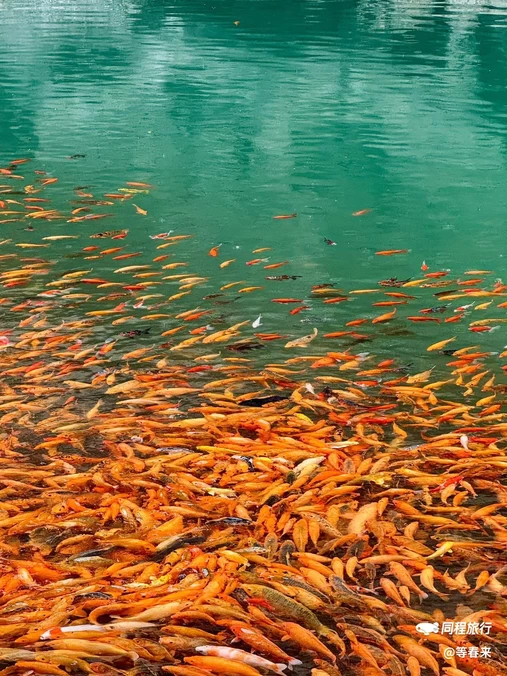 陶公洞 - 温州旅游