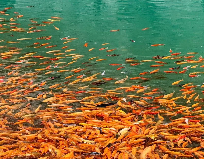 陶公洞 - 温州旅游 1