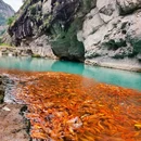 陶公洞 - 温州旅游 缩略图 3
