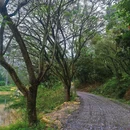 石禾村篮球场 - 佛山市旅游 缩略图 4