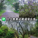 石禾村篮球场 - 佛山市旅游 缩略图 1