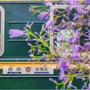 石禾村篮球场 - 佛山市旅游 缩略图 8