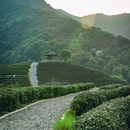 杭州万象城 - 杭州市旅游 缩略图 4