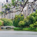 亚洲艺术公园 - 佛山市旅游 缩略图 9