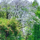 亚洲艺术公园 - 佛山市旅游 缩略图 5
