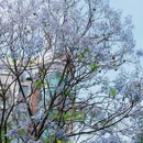 亚洲艺术公园 - 佛山市旅游 缩略图 6