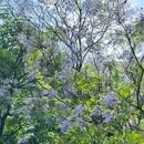 亚洲艺术公园 - 佛山市旅游 缩略图 3