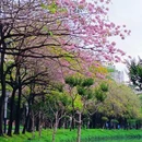 亚洲艺术公园 - 佛山市旅游 缩略图 7