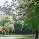 亚洲艺术公园 - 佛山市旅游 缩略图 4