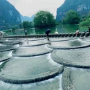 广西崇左秘境丽世度假村 - 崇左旅游 缩略图 6