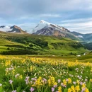 成都香格里拉 - 成都市旅游 缩略图 5