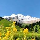 成都香格里拉 - 成都市旅游 缩略图 2