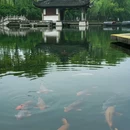 柯岩风景区 - 绍兴市旅游 缩略图 5