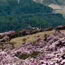 普格县柏润酒店 - 凉山彝族自治州旅游 缩略图 2