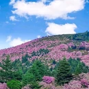 普格县柏润酒店 - 凉山彝族自治州旅游 缩略图 1
