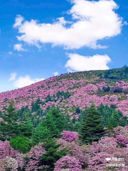 普格县柏润酒店 - 凉山彝族自治州旅游